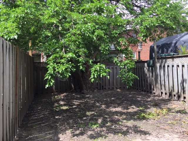 raymond-wong-toronto